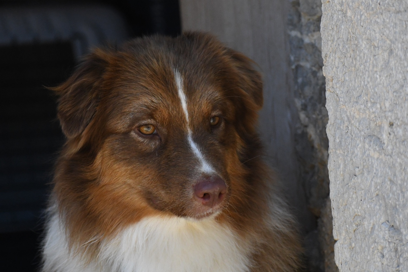 Ur Cheatin' heart du chemin des korrigans